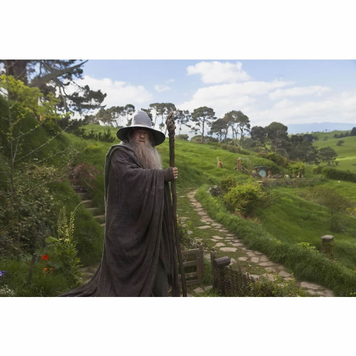 Staff of Wizard Gandalf - The Hobbit Movie